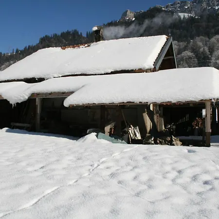 Bifigen By Interhome Appartement *